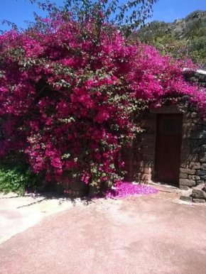 Holiday home Dammuso Magia Pantelleria